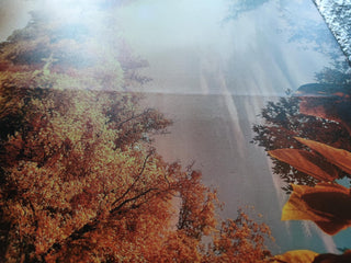 Paveikslas ant drobės, Gulbė tvenkinyje rudenį išpardavimas Paveikslai ant drobės Gera namie - Geranamie.lt