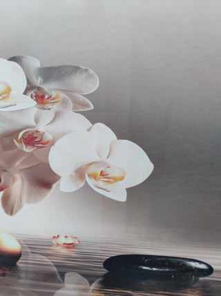 Paveikslas ant drobės, Orchidėjos ir ZEN išpardavimas Paveikslai ant drobės Gera namie - Geranamie.lt