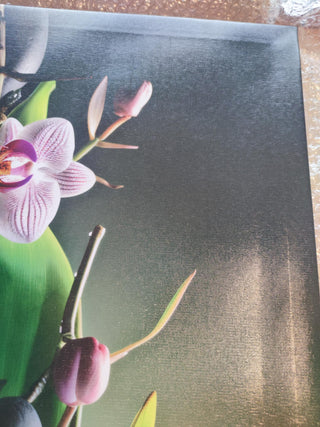 Paveikslas ant drobės, Orchidėja ir akmenys žaliame fone išpardavimas Paveikslai ant drobės Gera namie - Geranamie.lt
