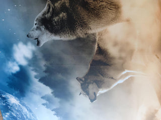 Paveikslas ant drobės, Vilkai staugiantys prieš mėnulį išpardavimas Paveikslai ant drobės Gera namie - Geranamie.lt