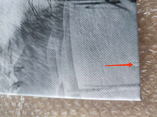 Paveikslas ant drobės, Vilkas žiemos peizaže išpardavimas Paveikslai ant drobės Gera namie - Geranamie.lt