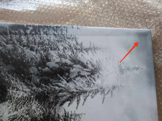 Paveikslas ant drobės, Vilkas žiemos peizaže išpardavimas Paveikslai ant drobės Gera namie - Geranamie.lt