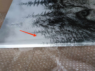 Paveikslas ant drobės, Vilkas žiemos peizaže išpardavimas Paveikslai ant drobės Gera namie - Geranamie.lt