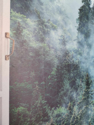 Paveikslas ant drobės, Ūkanotas miškas vaizdas pro langą išpardavimas Paveikslai ant drobės Gera namie - Geranamie.lt