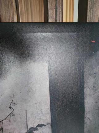 Paveikslas ant drobės, Geiša išpardavimas Paveikslai ant drobės Gera namie - Geranamie.lt