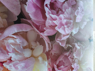 Paveikslas ant drobės, Rožiniai bijūnai išpardavimas Paveikslai ant drobės Gera namie - Geranamie.lt