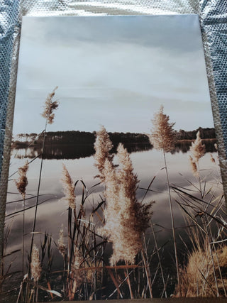Paveikslas ant drobės, Pampų žolė ežere išpardavimas Paveikslai ant drobės Gera namie - Geranamie.lt
