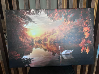 Paveikslas ant drobės, Gulbė tvenkinyje rudenį išpardavimas Paveikslai ant drobės Gera namie - Geranamie.lt