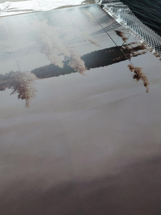 Paveikslas ant drobės, Pampų žolė ežere išpardavimas Paveikslai ant drobės Gera namie - Geranamie.lt