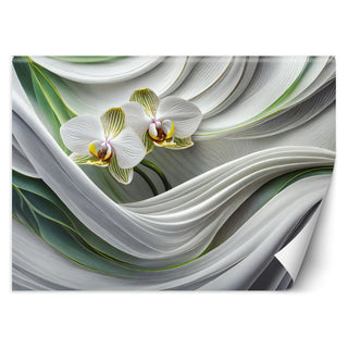 Fototapetai, Dvi orchidėjos ir abstrakcija 3D Tapetai Gera namie - Geranamie.lt