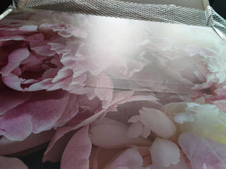 Paveikslas ant drobės, Rožiniai bijūnai išpardavimas Paveikslai ant drobės Gera namie - Geranamie.lt