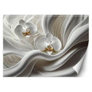 Fototapetai, Dvi baltos orchidėjos 3D Tapetai Gera namie - Geranamie.lt