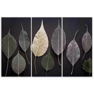 Trijų dalių paveikslas ant drobės, Lapai juodame fone Paveikslai ant drobės Gera namie - Geranamie.lt