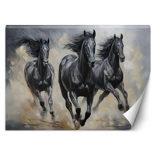 Fototapetai, Juodi žirgai Tapetai Gera namie - Geranamie.lt