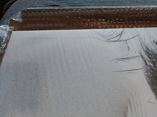 Paveikslas ant drobės, Baltijos jūros paplūdimys pigiau Paveikslai ant drobės Gera namie - Geranamie.lt