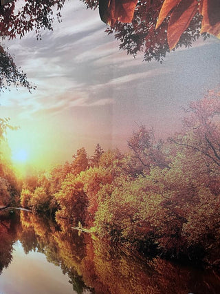 Paveikslas ant drobės, Gulbė tvenkinyje rudenį išpardavimas Paveikslai ant drobės Gera namie - Geranamie.lt