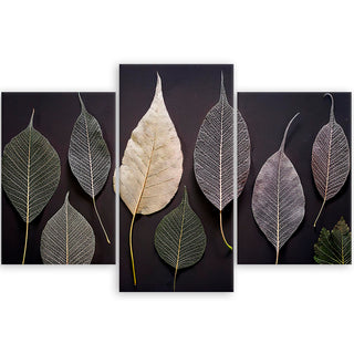 Trijų dalių paveikslas ant drobės, Lapų šokis juodame fone Paveikslai ant drobės Gera namie - Geranamie.lt