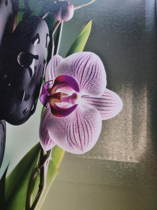 Paveikslas ant drobės, Orchidėja ir akmenys žaliame fone išpardavimas Paveikslai ant drobės Gera namie - Geranamie.lt