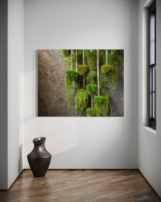 Paveikslas ant drobės, Samanos prie sienos Paveikslai ant drobės Gera namie - Geranamie.lt