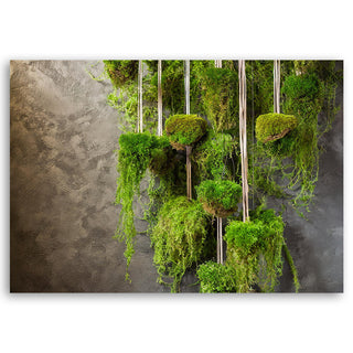 Paveikslas ant drobės, Samanos prie sienos išpardavimas Paveikslai ant drobės Gera namie - Geranamie.lt