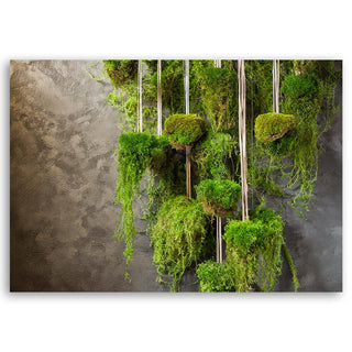 Paveikslas ant drobės, Samanos prie sienos Paveikslai ant drobės Gera namie - Geranamie.lt