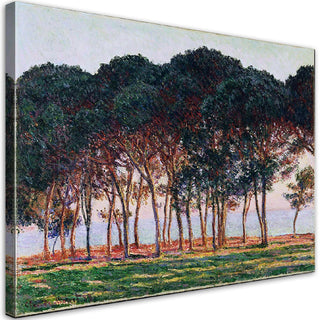 Paveikslas ant drobės, Claude Monet, Po pušimis Paveikslai ant drobės Gera namie - Geranamie.lt