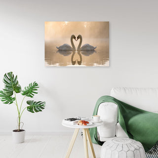 Paveikslas ant drobės, Tvenkinio gulbės ryto šviesoje Paveikslai ant drobės Gera namie - Geranamie.lt