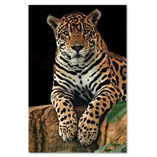 Paveikslas ant drobės, Leopardas Paveikslai ant drobės Gera namie - Geranamie.lt