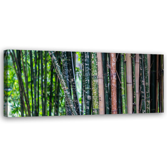 Paveikslas ant drobės, Bambuko stiebai