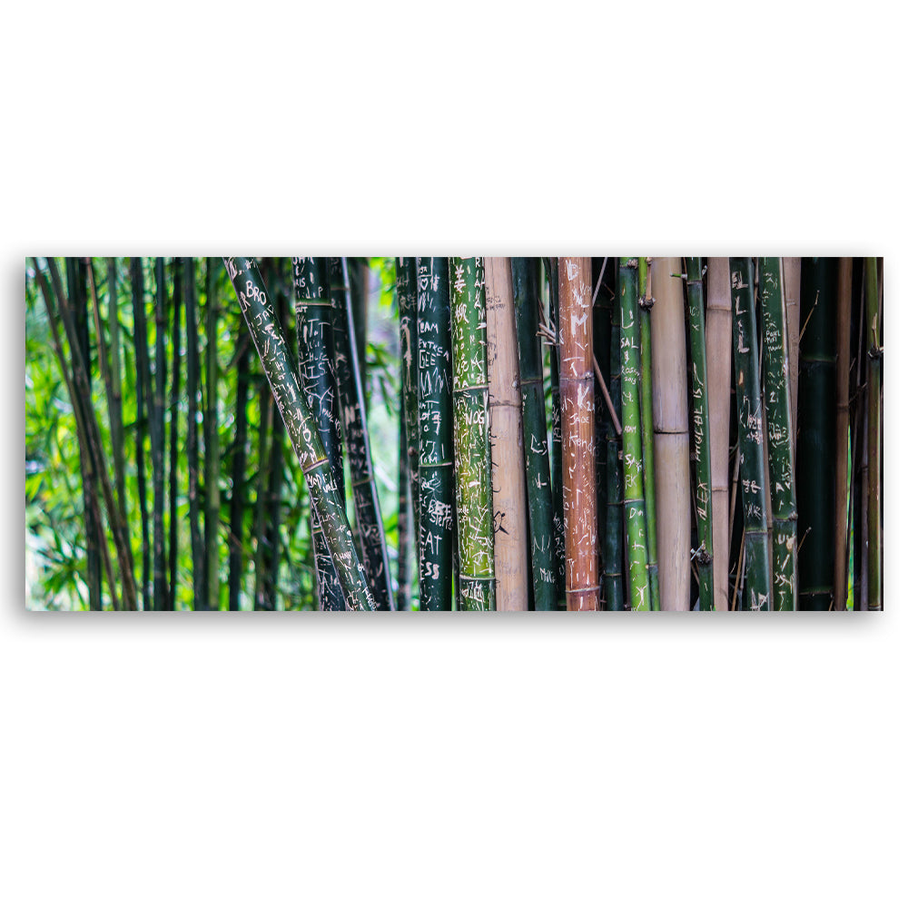 Paveikslas ant drobės, Bambuko stiebai su užrašais