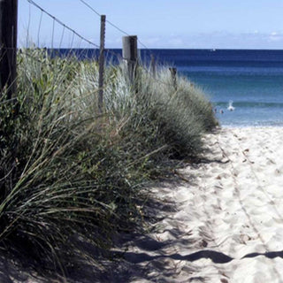 Klasikinė širma, Kelias per kopas Širmos Gera namie - Geranamie.lt