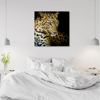 Paveikslas ant drobės, Leopardo žvilgsnis Paveikslai ant drobės Gera namie - Geranamie.lt