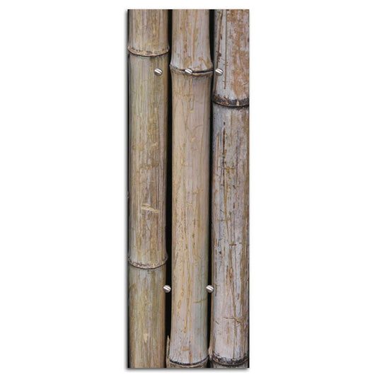 Kabykla, Pilkas bambukas