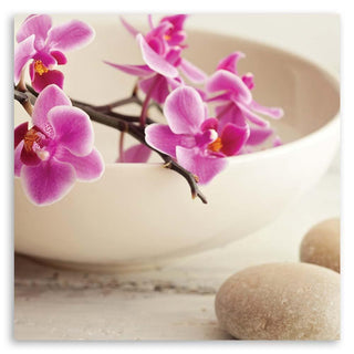 Paveikslas ant drobės, Rožinės orchidėjos baltame dubenyje Paveikslai ant drobės Gera namie - Geranamie.lt
