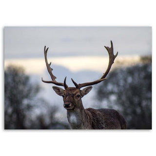 Paveikslas ant drobės, Elnias Paveikslai ant drobės Gera namie - Geranamie.lt