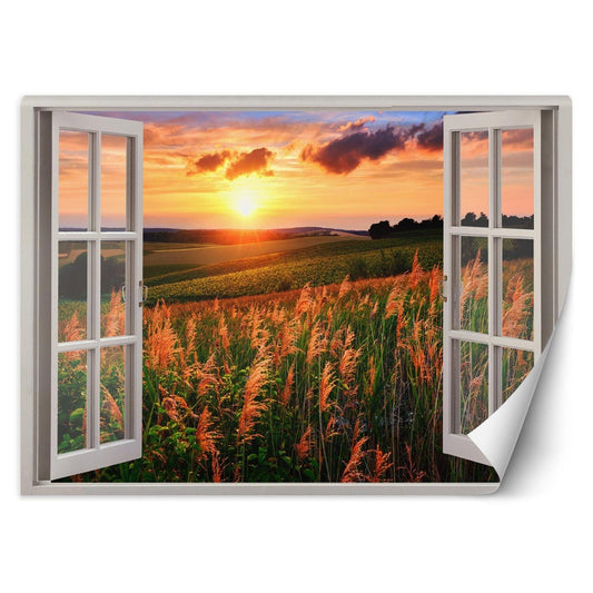 Tapetai, Vaizdas pro langą Saulėlydis virš pievos
