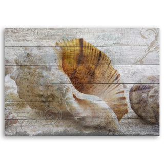 Paveikslas ant drobės, Kriauklės Paveikslai ant drobės Gera namie - Geranamie.lt