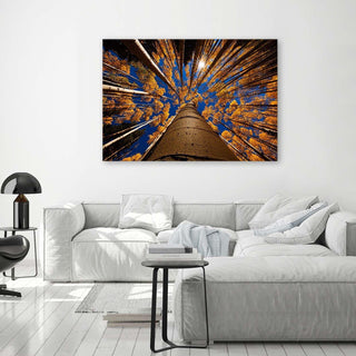 Paveikslas ant drobės, Medžių viršūnės Paveikslai ant drobės Gera namie - Geranamie.lt