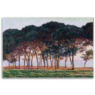 Paveikslas ant drobės, Claude Monet, Po pušimis Paveikslai ant drobės Gera namie - Geranamie.lt