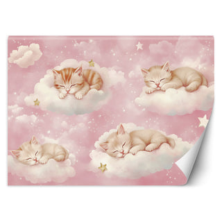 Wallpaper for girls, Cats in the Clouds Pink