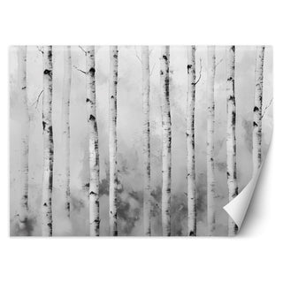 Wallpaper, Birch forest landscape nature