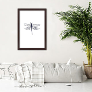 Dragonfly - Print in a frame