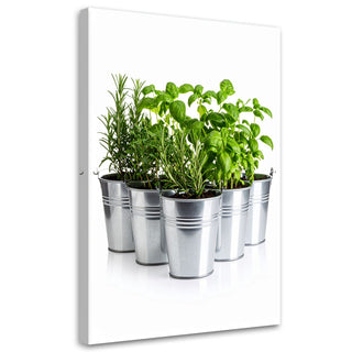 Paveikslas ant drobės, šviežios žolelės nr. 1 Paveikslas ant drobės, Herbs spices plants Paveikslai ant drobės Gera namie - Geranamie.lt
