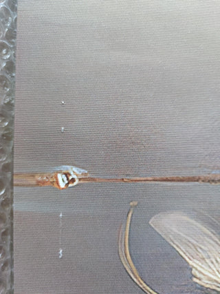 Paveikslas ant drobės, Tapytos baltos gėlės aukse išpardavimas Paveikslai ant drobės Gera namie - Geranamie.lt
