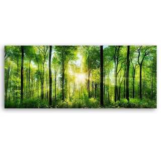 Fototapetai, Miškas saulės spinduliuose išpardavimas Tapetai Gera namie - Geranamie.lt