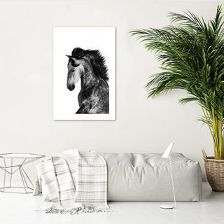 Wild horse - Print in a frame