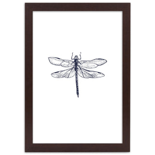 Dragonfly - Print in a frame