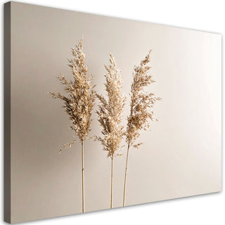 Paveikslas ant drobės, Pampų žolės stiebeliai Paveikslai ant drobės Gera namie - Geranamie.lt