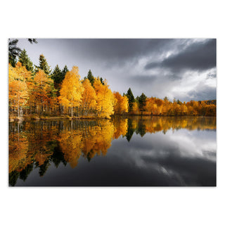 Fototapetai, Rudens miškas prie ežero