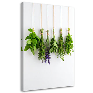 Paveikslas ant drobės, Džiovintos prieskoninės žolelės Nr. 7 Paveikslas ant drobės, Herbs spices Paveikslai ant drobės Gera namie - Geranamie.lt
